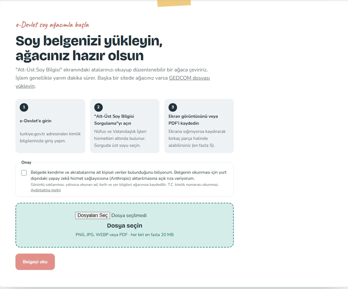 tamaile e-Devlet soy belgesi yükleme ekranı: üç adımda görüntü yükleme